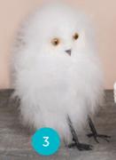 White Feather Owl