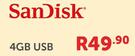 SanDisk 4GB USB