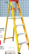 Gravity 10 Step Fibre Glass Ladder