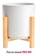 Pot On Stand