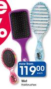 Wet Hairbrushes-Each