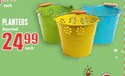 Planters Assorted Each