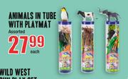 Animals In Tube With Playmat Assorted-Each