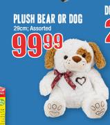 Plush 29cm Bear Or Dog Assorted