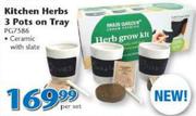 Kitchen Herbs 3 Pots On Tray PG7586-Per Set