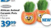 Kirchhoffs African Animal Ceramic Pots PG7519-Each