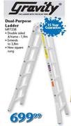 Gravity Dual-Purpose Ladder(MP7238)