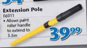 Extension Pole