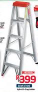 Hybrid 5-Step Ladder