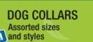 Dog Collars