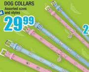 Dog Collars
