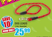 Dog Leads 1.2m Assorted