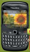 BlackBerry8520 Cellphone 