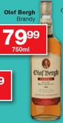 Olof Bergh Brandy-750ml