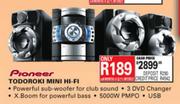 Pioneer Todoroki Mini Hi-Fi