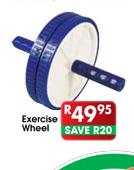Exercise Wheel