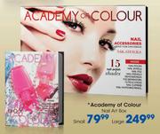 Academy Of Colour Large Nail Art Box