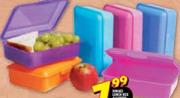 Hinged Lunch Box-Each