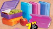 Hinged Lunch Box-Each