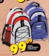 Steelers Large Backpacks Assorted-each