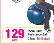 65cm Burst Resistance Ball Each