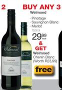 Welmoed Pinotage/Sauvignon Blanc Or Merlot-750ml Each