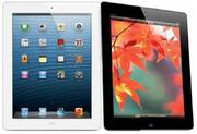 WiFi+Cellular-64GB Each