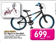 Raleigh 20" Rep IV Or Diva BMX-Each