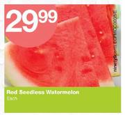 Red Seedless Watermelon-Each