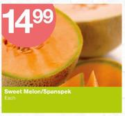 Sweet Melon/Spanspek-Each