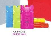 Ice Bricks-Each