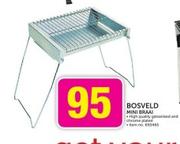 Bosveld Mini Braai