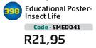 Educational Poster-Insect Life SMED041