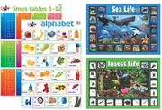 Educational Poster-Our Body SMED042