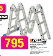 Stramm Multi-Function Ladder