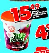 Dairybelle Fruits Of The Forest Yoghurt Assorted-1kg Each