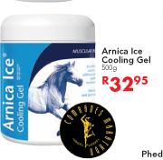 Arnica Ice Cooling Gel-500g