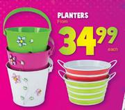 Planters Each