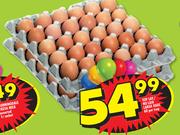 Top lay/Nu laid Large Eggs-60 Per Tray