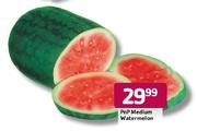 PnP Medium Watermelon