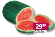 PnP Medium Watermelon