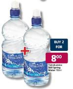 Tsitsikamma Still Spring Water-2x750ml