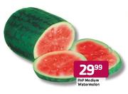 PnP Medium Watermelon