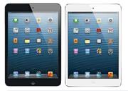 Apple iPad Mini Wi-Fi 64GB-Each