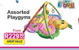 Playgyms Assorted-Each
