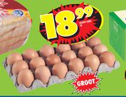 Groot Eiers-18's