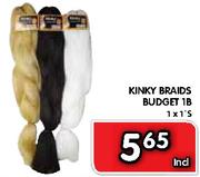 Kinky Braids Budget 1B - 1x1's