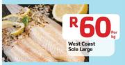 West Coast Sole Large-Per Kg