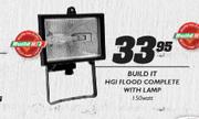 Build It HGI Flood Complete With Lamp-150 Watt