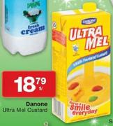 Danone Ultra Mel Custard-1L